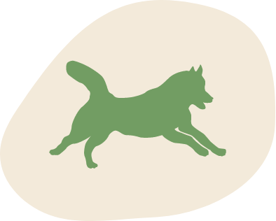 Aktiv