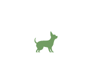 Sehr kleiner Hund