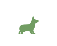 Kleiner Hund