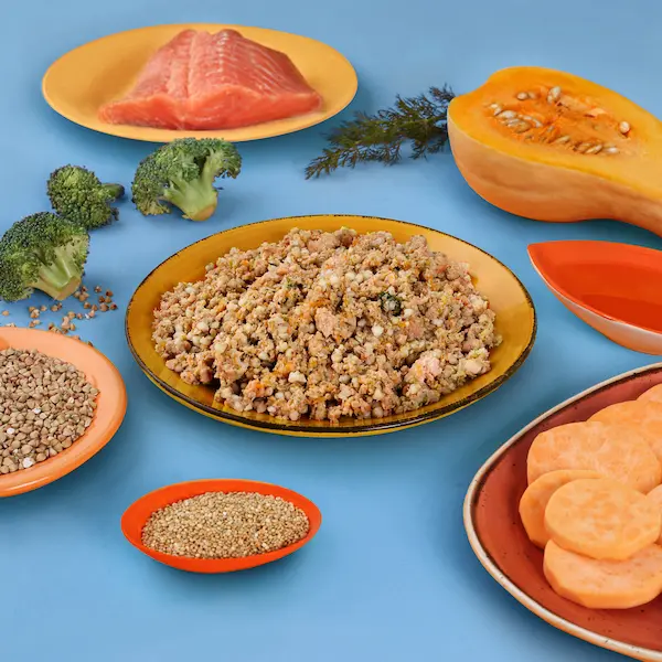 Feinschlecker-Bowl Lachs & Brokkoli