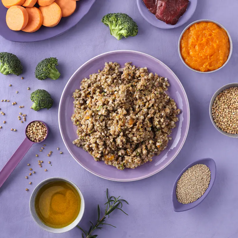 Feinschlecker-Bowl Lamm&Quinoa